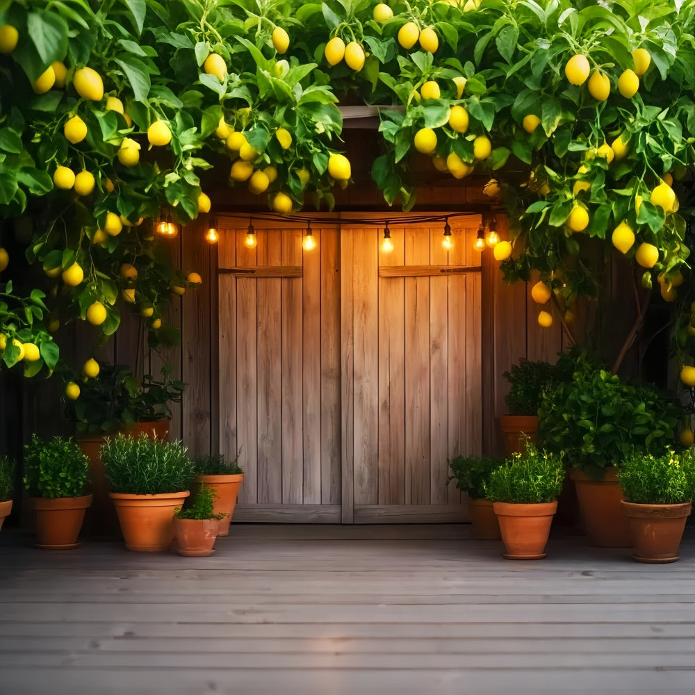 Barn Door Photo Backdrop Lemon Tree Porch Backdrop UK LXX57-413