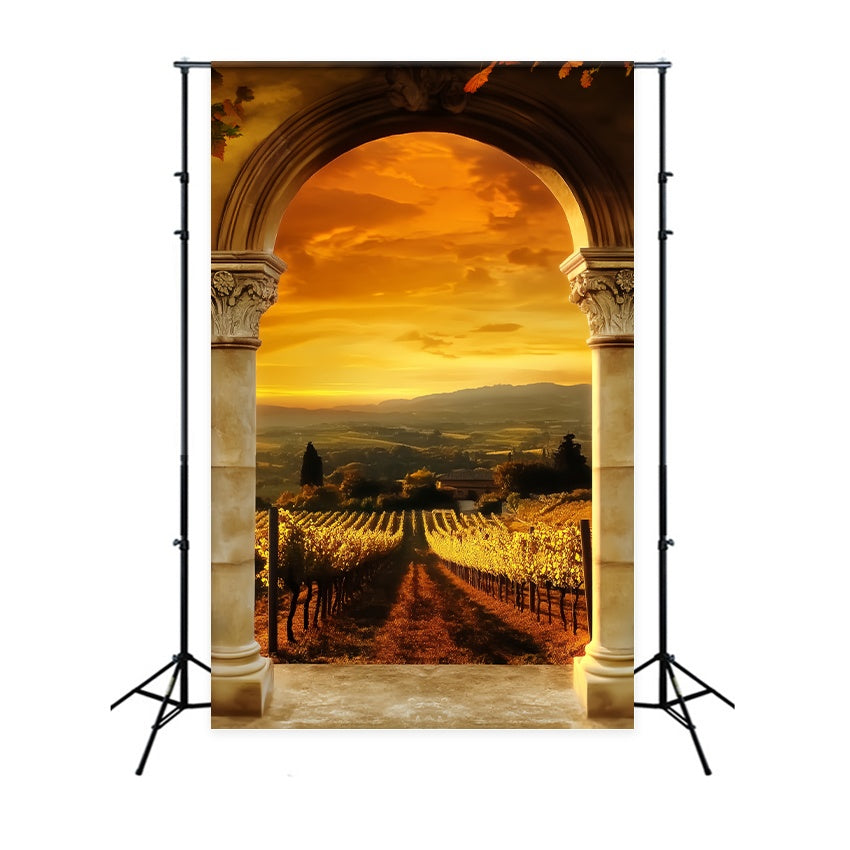 Fall Backdrop Golden Vineyard Archway View Vintage Backdrop UK LXX58-174