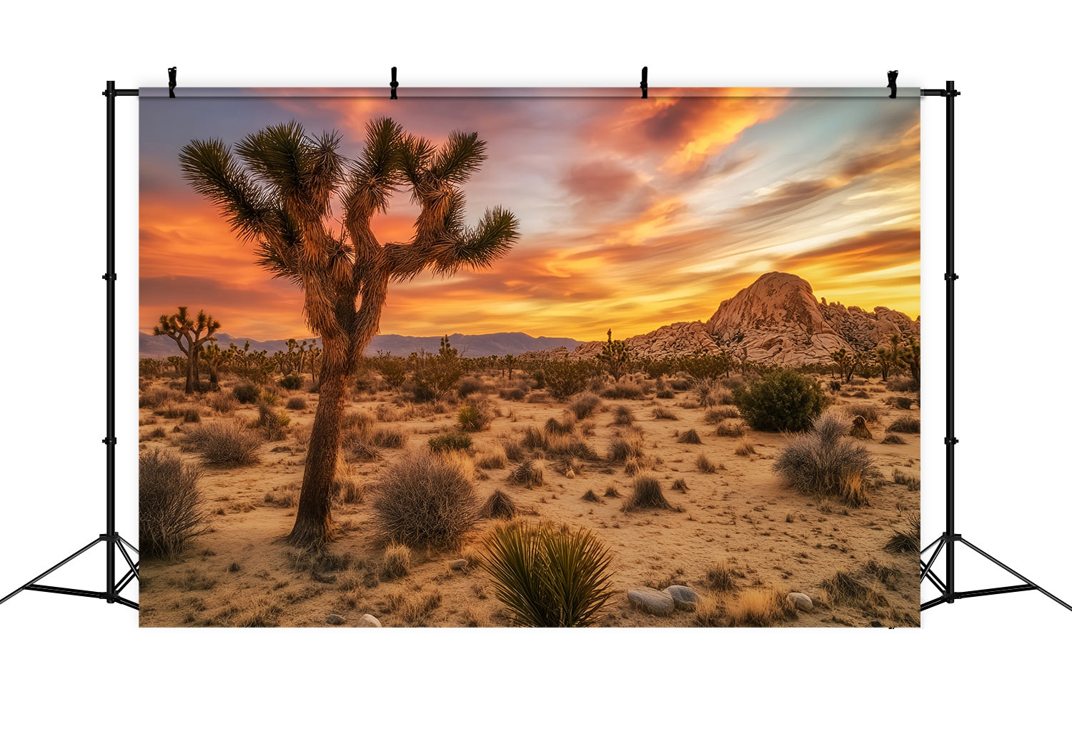 Autumn Fall Backdrop Desert Sunset Joshua Tree Glow Sunset Backdrop UK LXX58-183