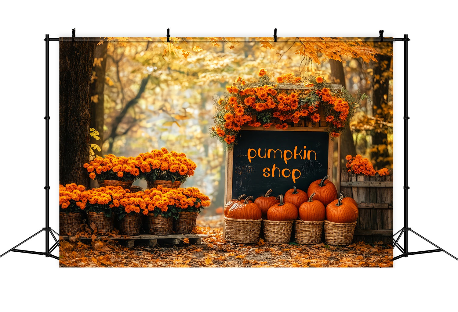 Autumn Backdrops Pumpkin Shop Autumn Flower Market Pumpkin Backdrop UK LXX58-215