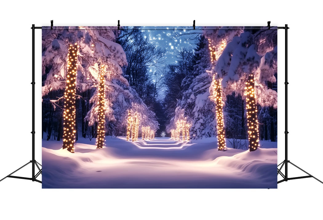 Forest Backdrop Golden Lights Snowy Pathway Winter Wonderland Backdrop UK LXX58-241