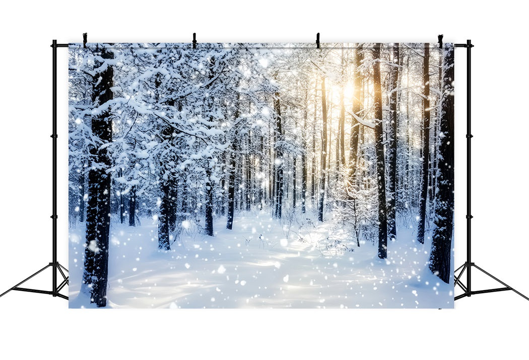Snowy Forest Sparkling Sunrise Winter Woods Woodland Forest Backdrop UK LXX58-276