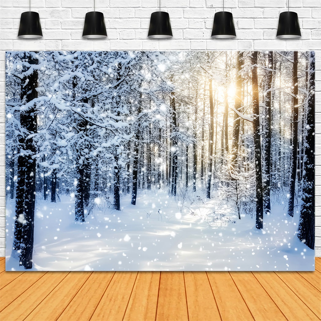 Snowy Forest Sparkling Sunrise Winter Woods Woodland Forest Backdrop UK LXX58-276