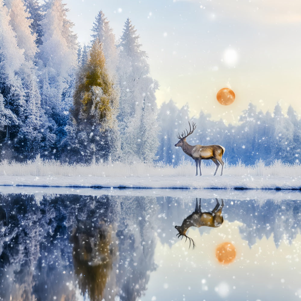 Enchanted Forest Snowfall Deer Sunrise Reflection Magical Forest Backdrop UK LXX58-289