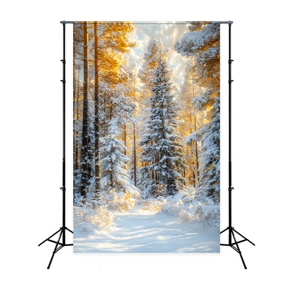 Christmas Pine Forest Frosty Trees Golden Glow Forest Photo Backdrop UK LXX58-309