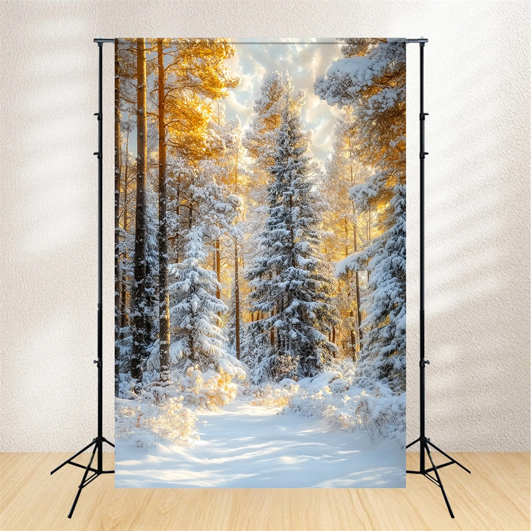 Christmas Pine Forest Frosty Trees Golden Glow Forest Photo Backdrop UK LXX58-309