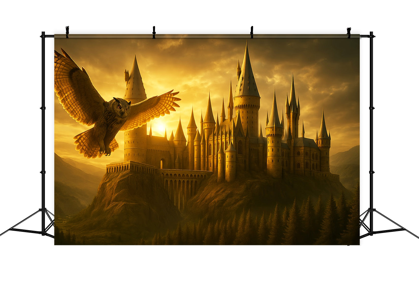 Back To School Backdrop Golden Castle Flying Owl School Picture Backdrop UK LXX59-213