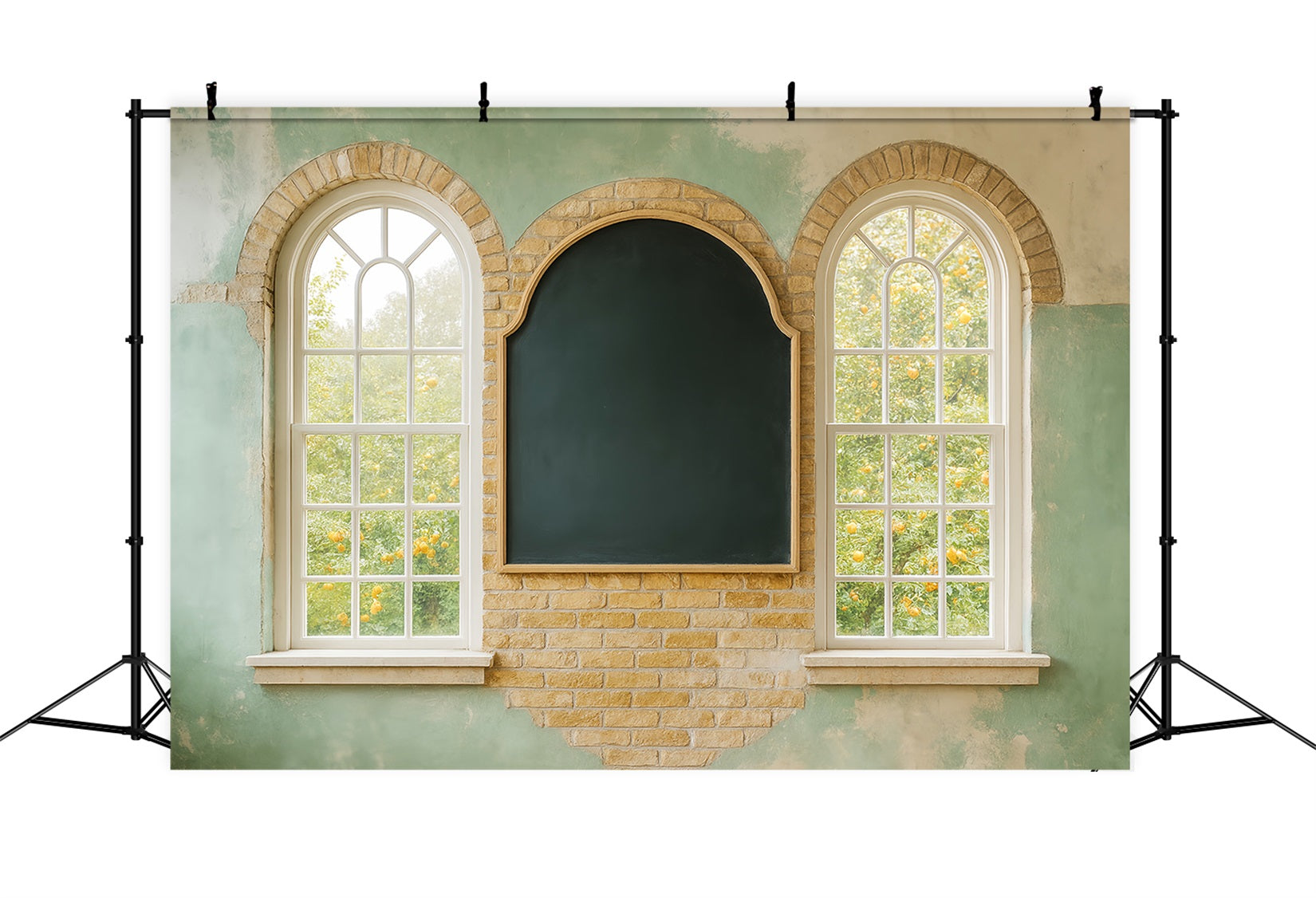 Back To School Backdrops Chalkboard Arched Window Wall School Classroom Backdrop UK LXX59-229