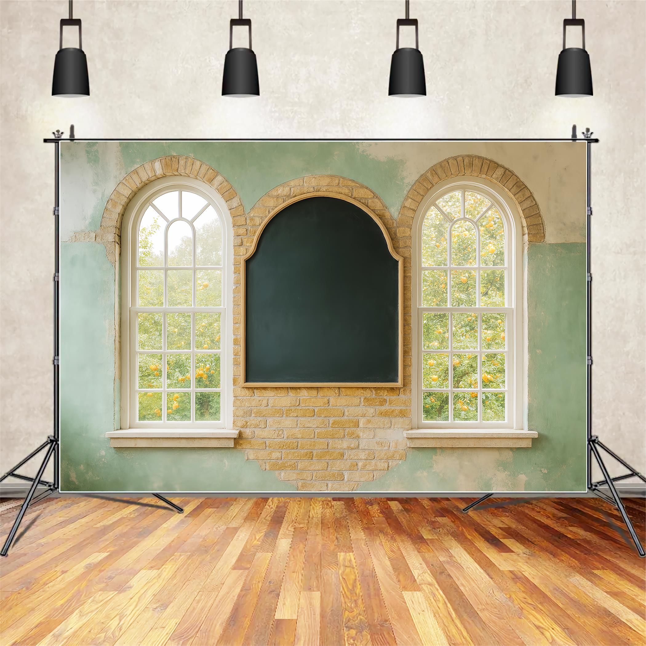 Back To School Backdrops Chalkboard Arched Window Wall School Classroom Backdrop UK LXX59-229