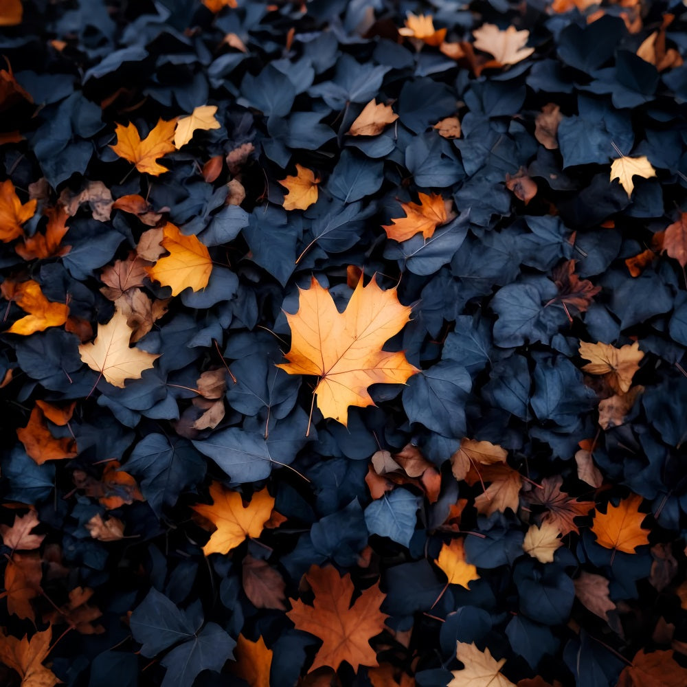 Fall Backdrop Crisp Autumn Fallen Leaves Pattern Fall Photo Backdrops UK LXX59-281