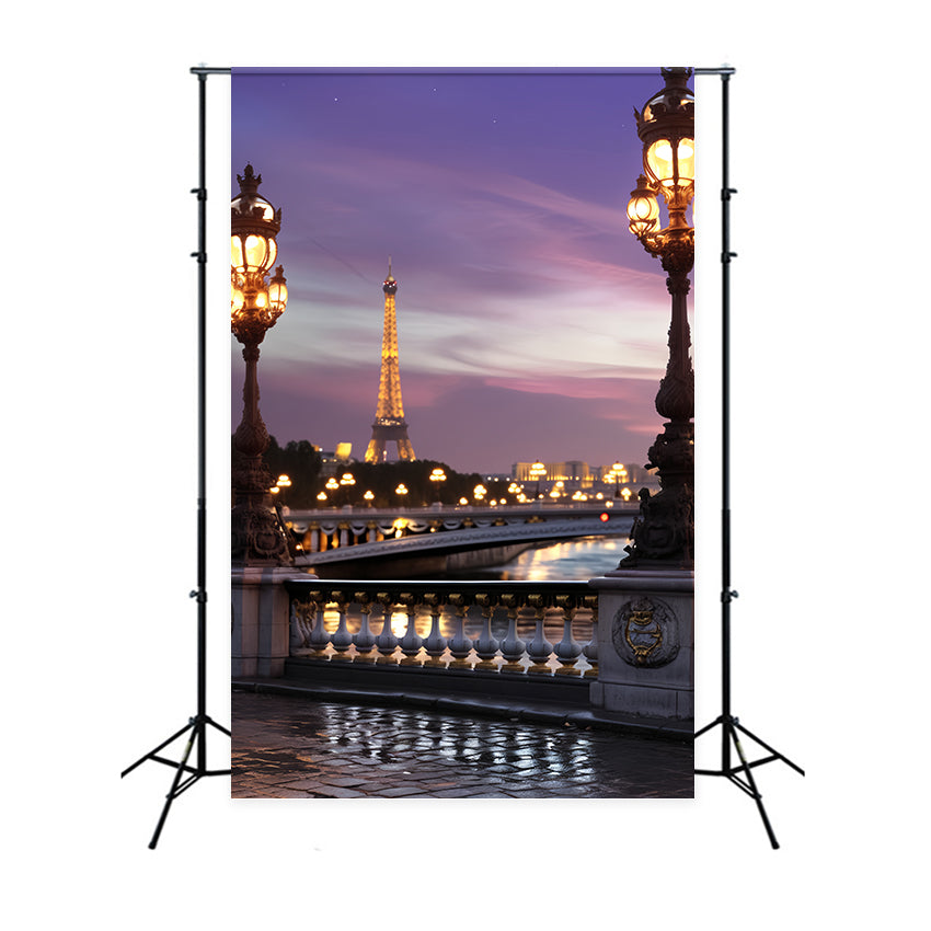 Paris Backdrop Eiffel Tower Twilight Bridge Paris Backdrop for Pictures UK LXX59-32