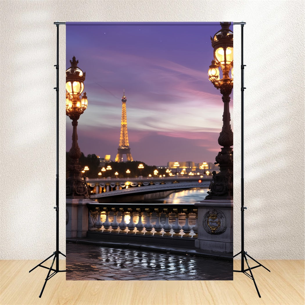 Paris Backdrop Eiffel Tower Twilight Bridge Paris Backdrop for Pictures UK LXX59-32
