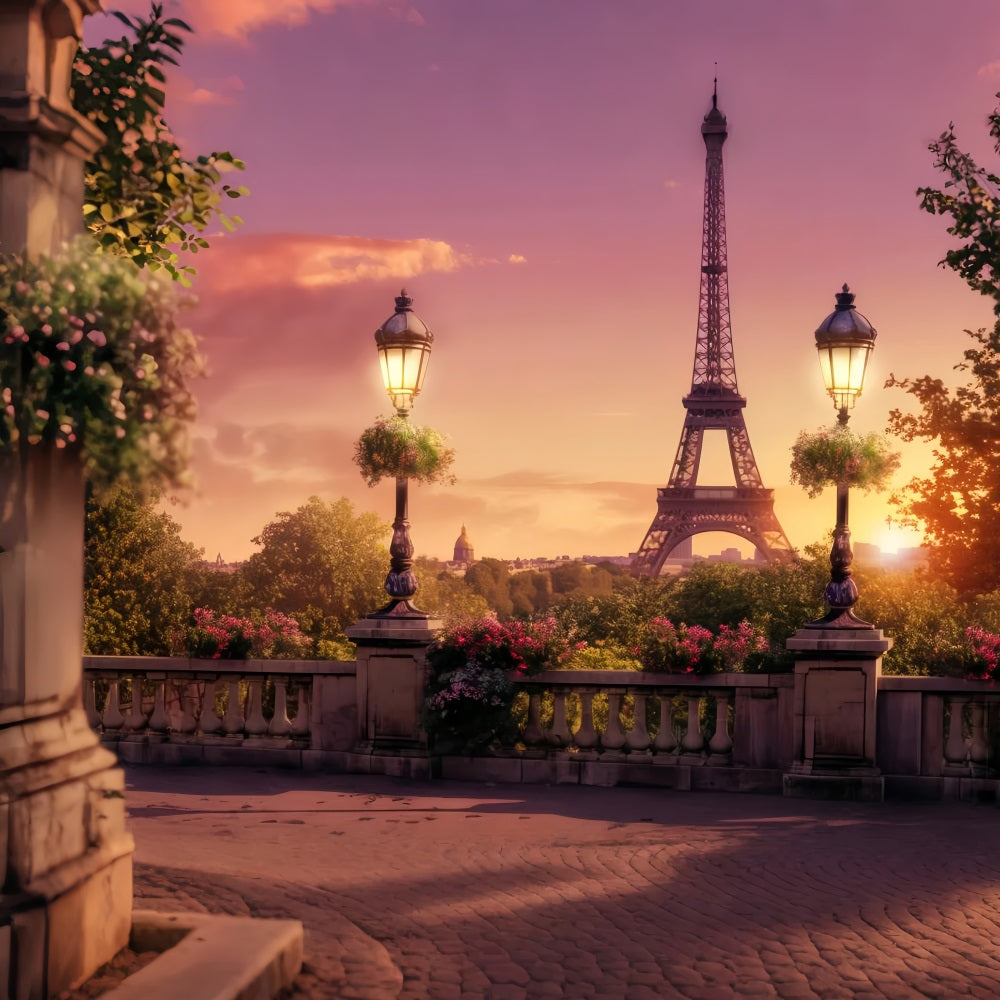 Paris Street Backdrops Eiffel Tower Sunset Balcony Paris Backdrop Ideas UK LXX59-40