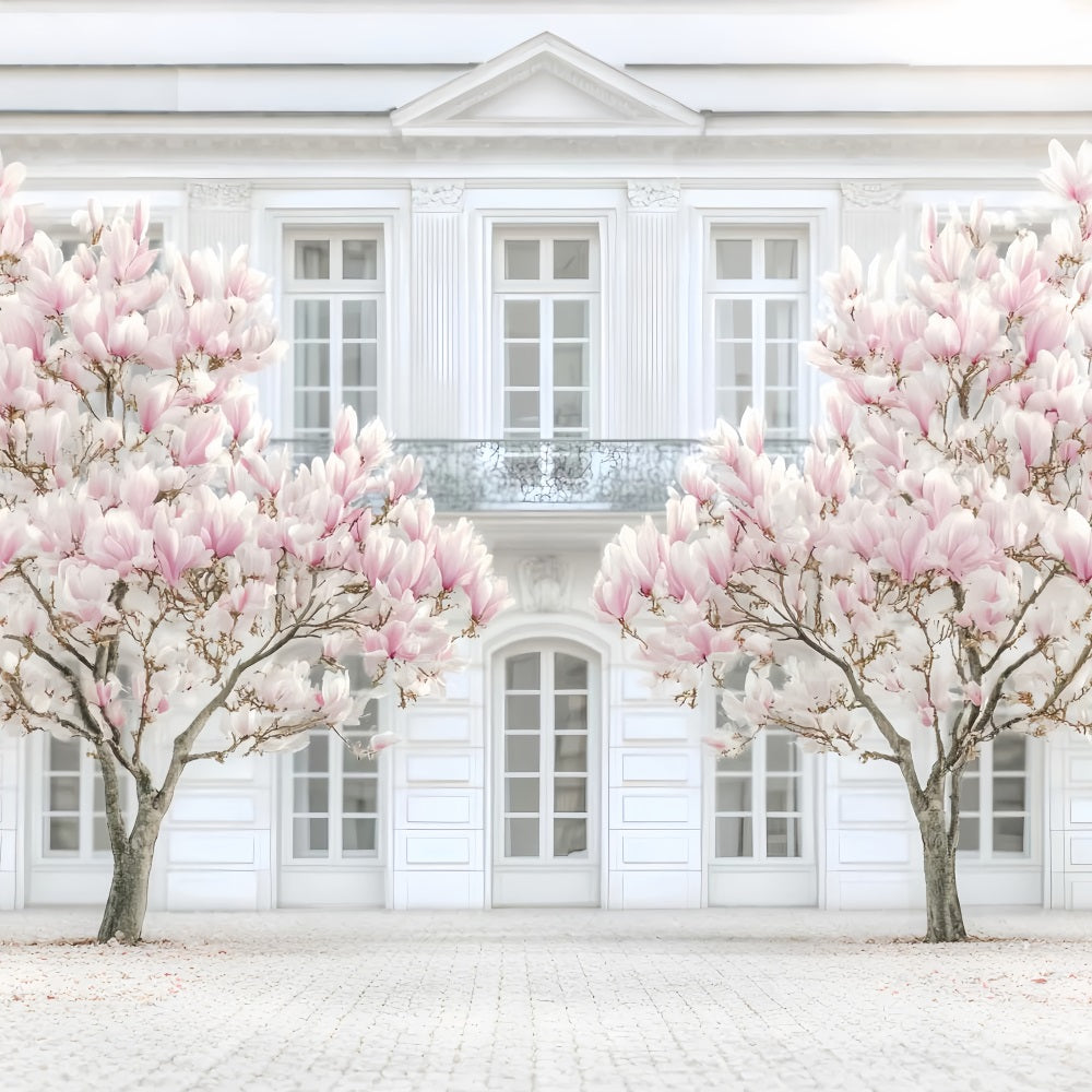 Europe Backdrop Parisian Magnolia White Facade Paris Backdrop UK LXX59-48