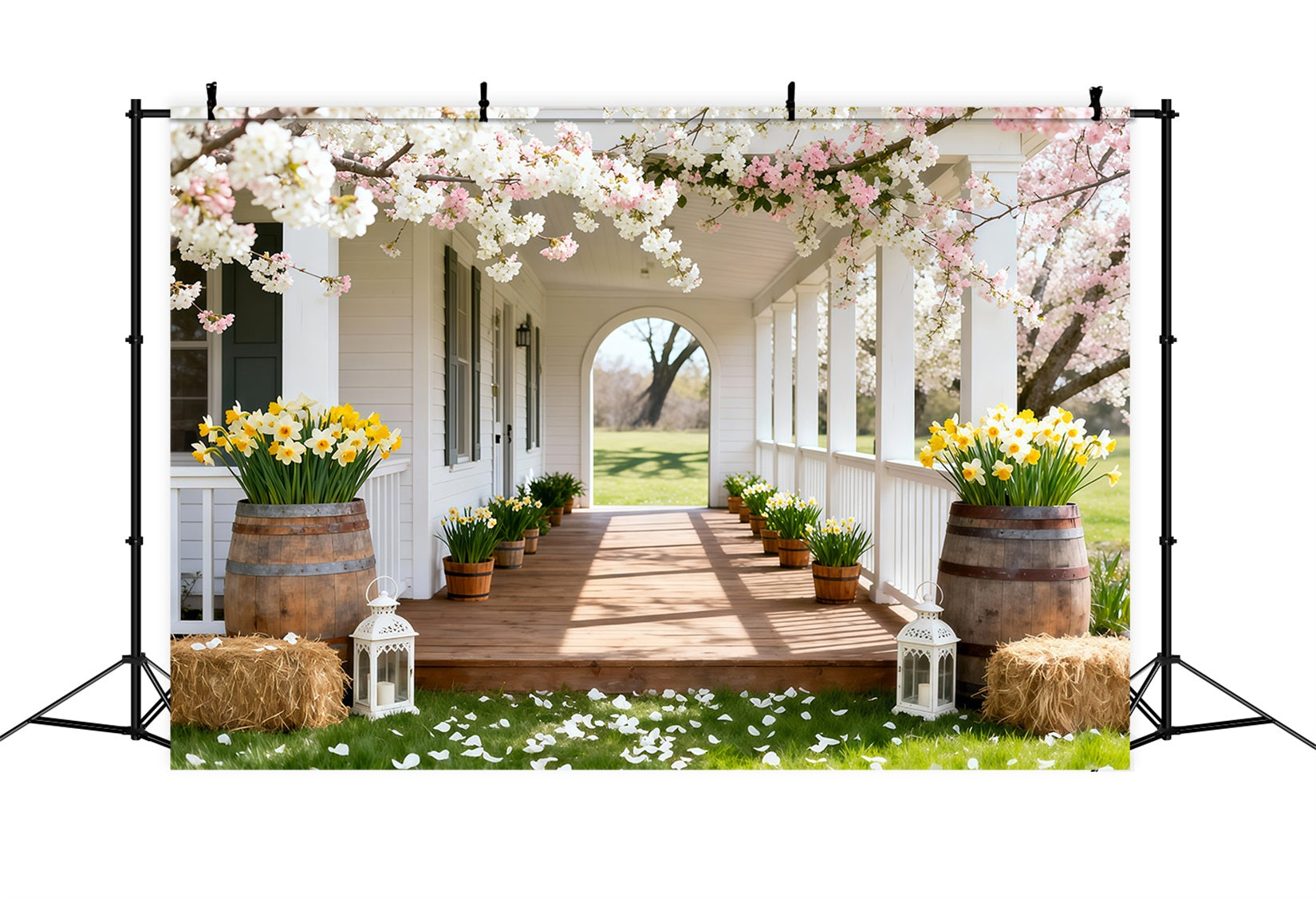 Daffodil Backdrop Cherry Blossom Porch Walkway Floral Backdrop For Photos UK LXX61-203