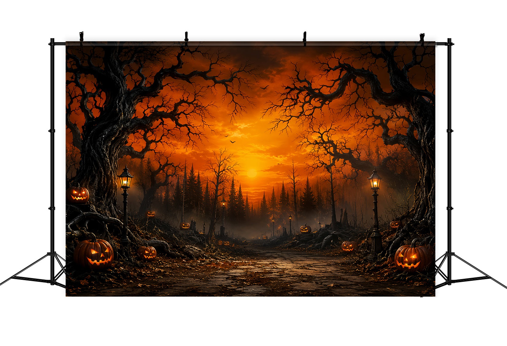 Spooky Forest Backdrop Sunset Pumpkin Woods Path Spooky Backdrop UK LXX67-217
