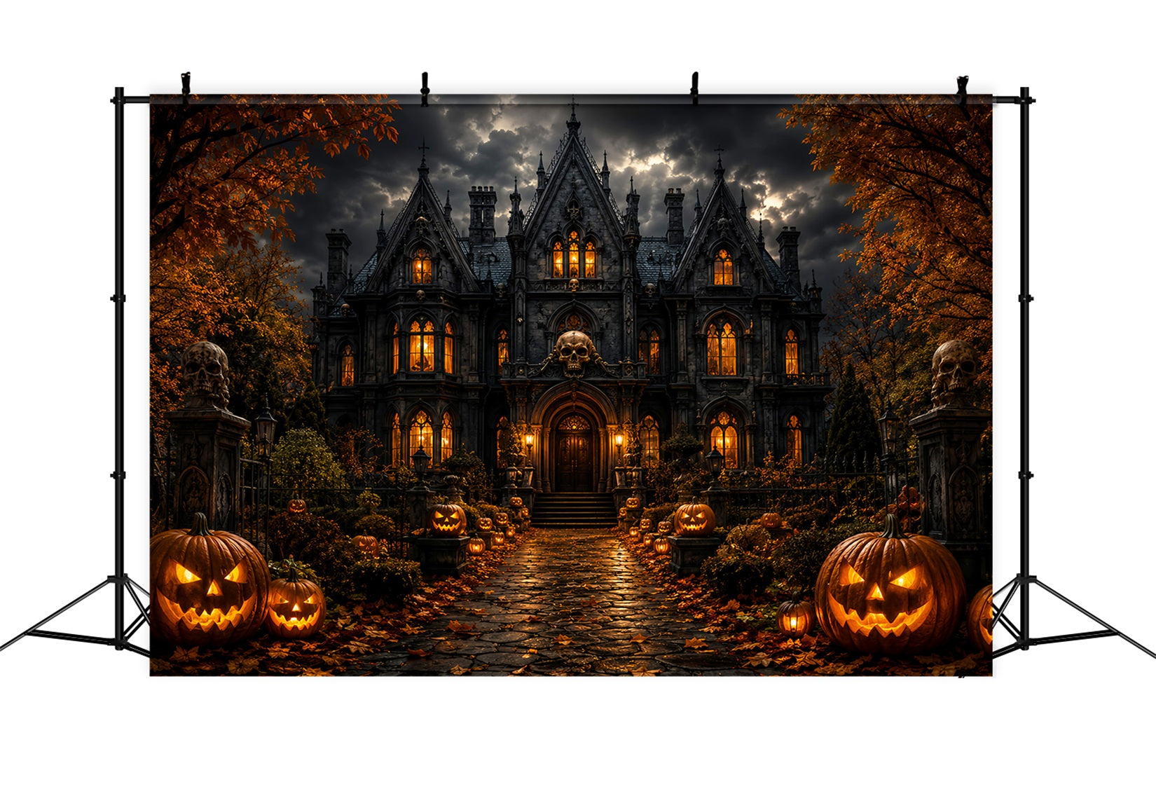 Haunted Mansion Photo Backdrop Stormy Skull Manor Entrance Scary Backdrops UK LXX67-238