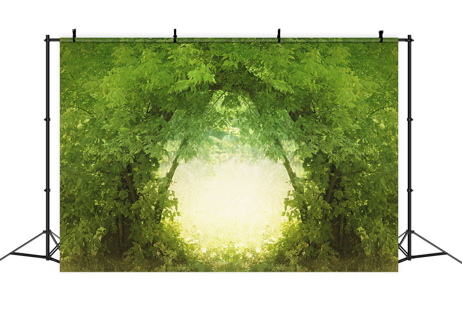 Natural Branches Deep In The Lush Forest Doorway Translucent Backdrop M1-76