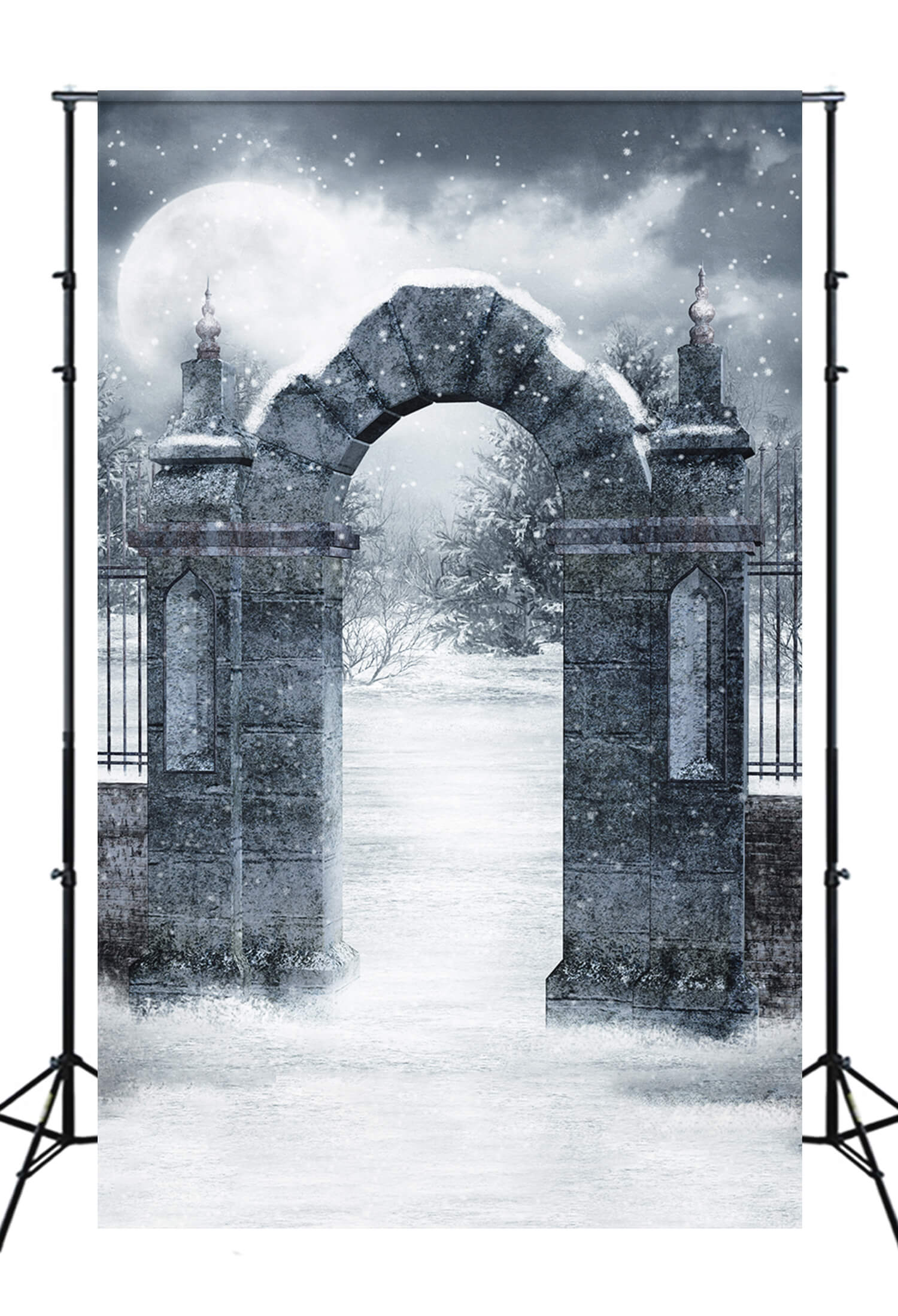 Snowy Gothic Cemetery Gate Winter Backdrop UK M11-04