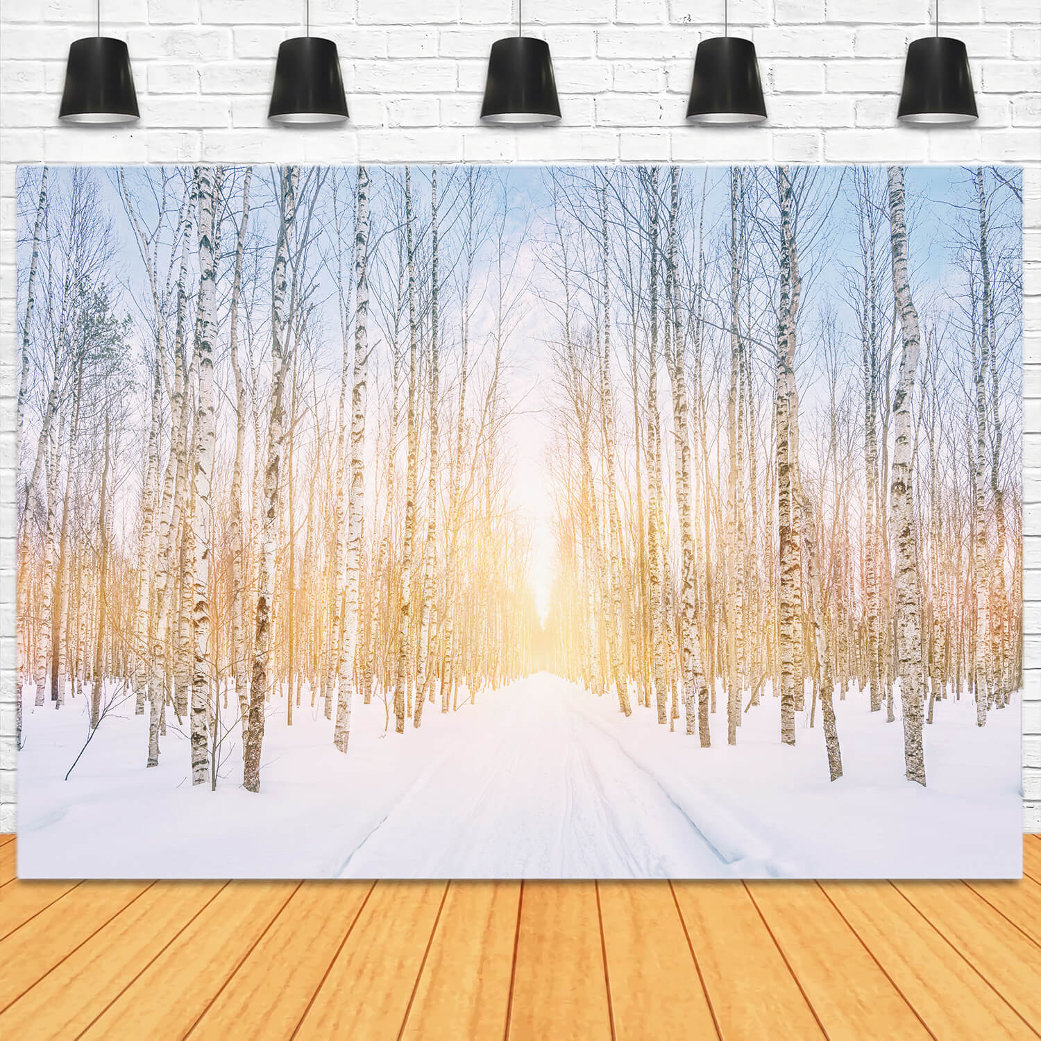 Winter Snowy Forest Park Sunshine Backdrop UK M11-47