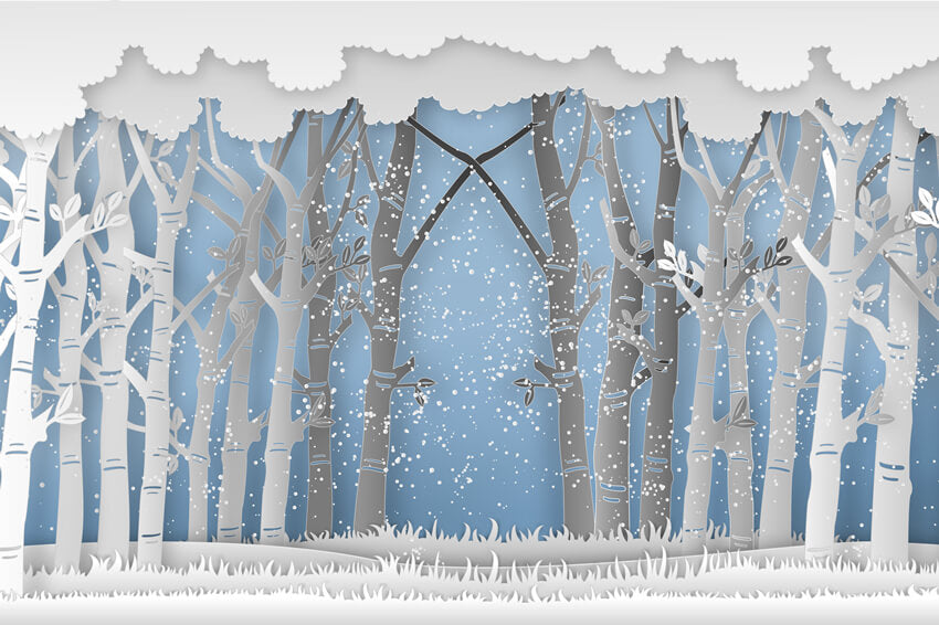 Winter Snowy Forest Tall Trees Grassland Backdrop UK M7-25