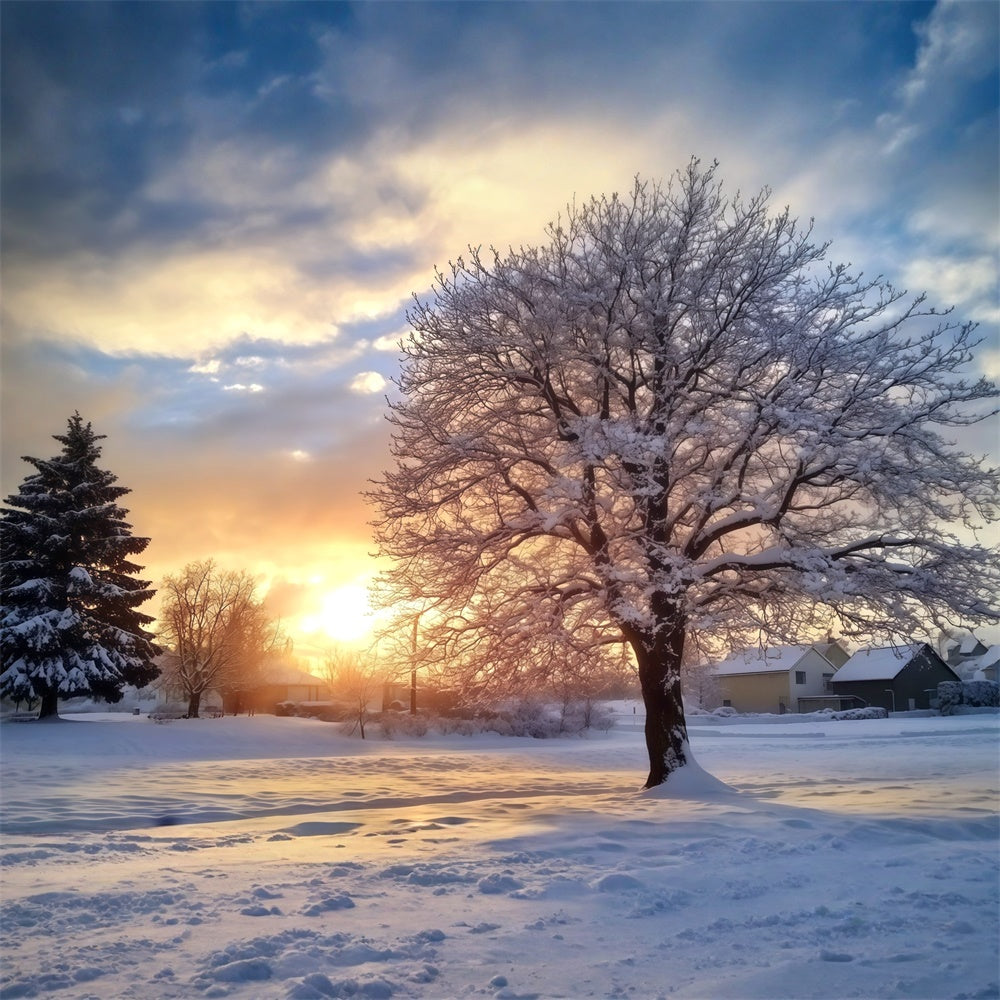 Backdrop Forest Winter Sunset Serenity Backdrop UK MRR7-107