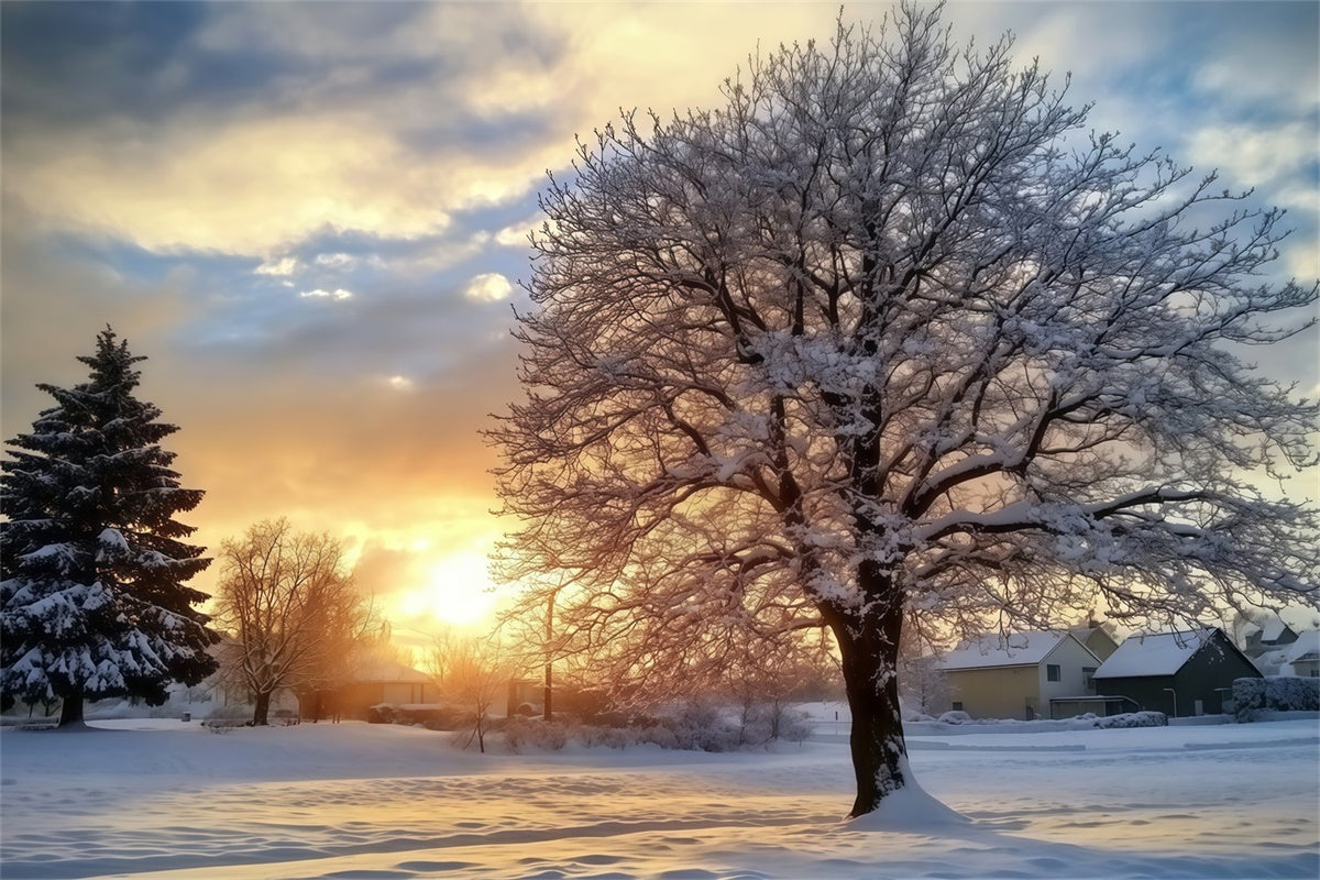 Backdrop Forest Winter Sunset Serenity Backdrop UK MRR7-107