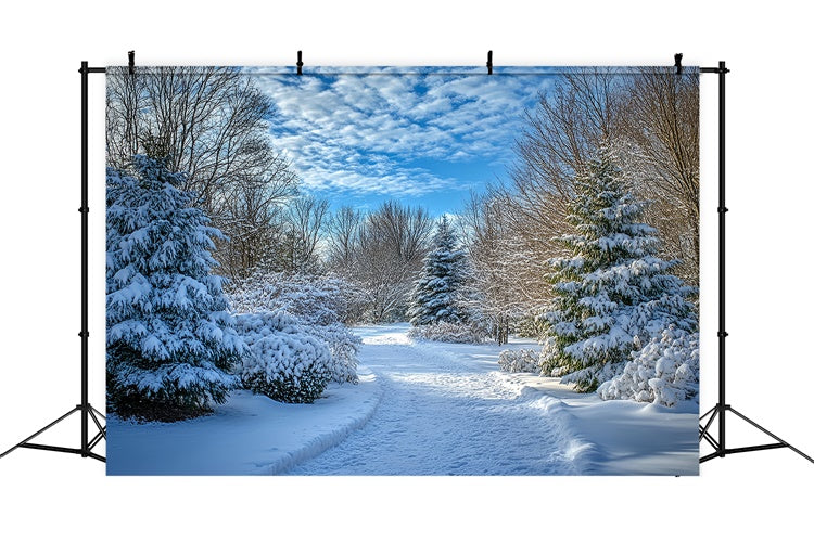 Winter Backdrops Clear Sky Snow Path Backdrop UK MRR7-151