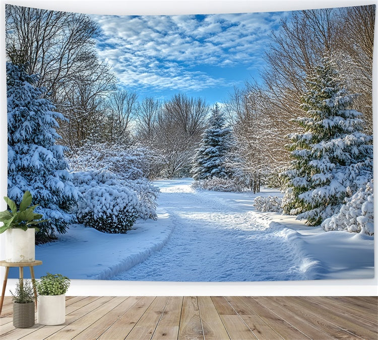 Winter Backdrops Clear Sky Snow Path Backdrop UK MRR7-151