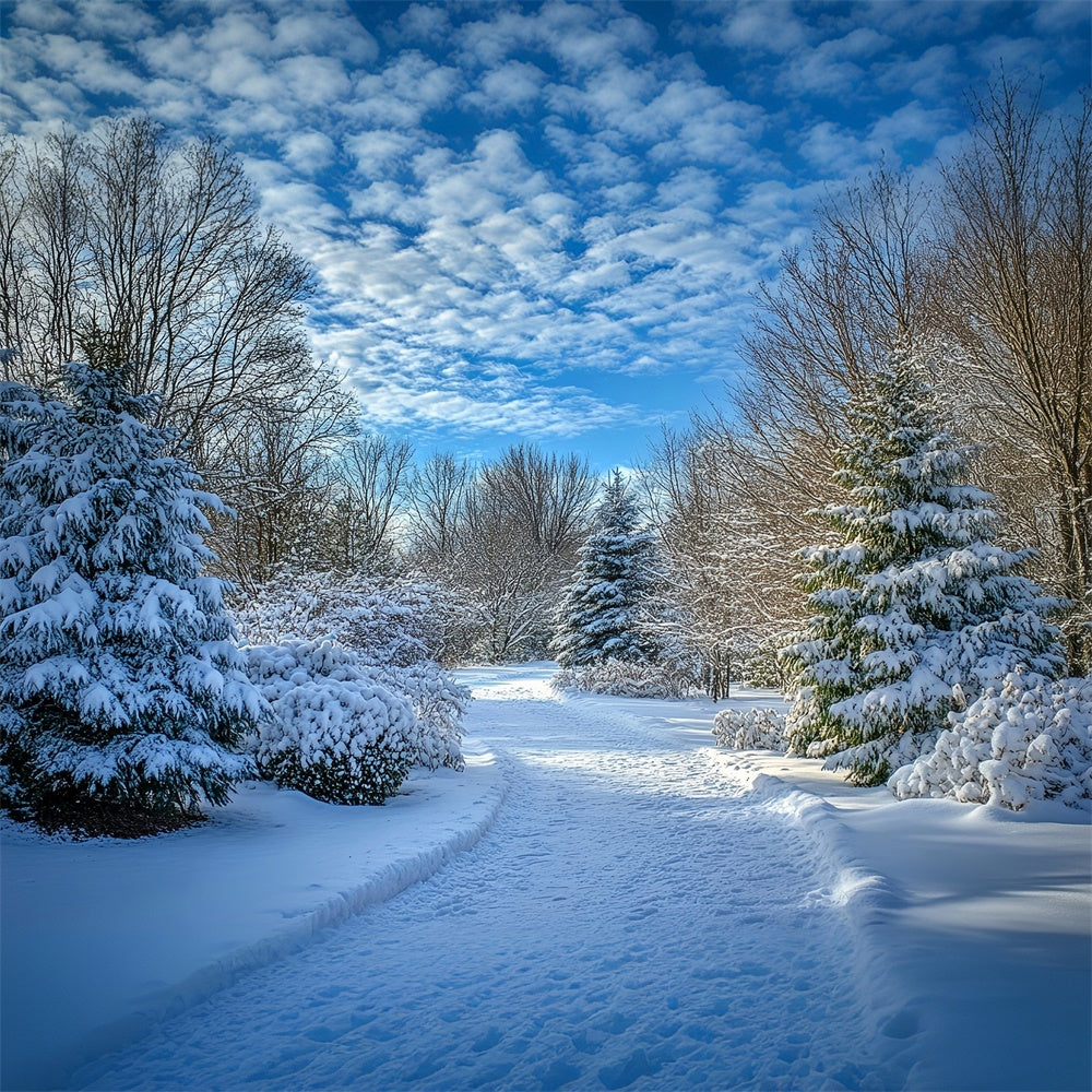 Winter Backdrops Clear Sky Snow Path Backdrop UK MRR7-151
