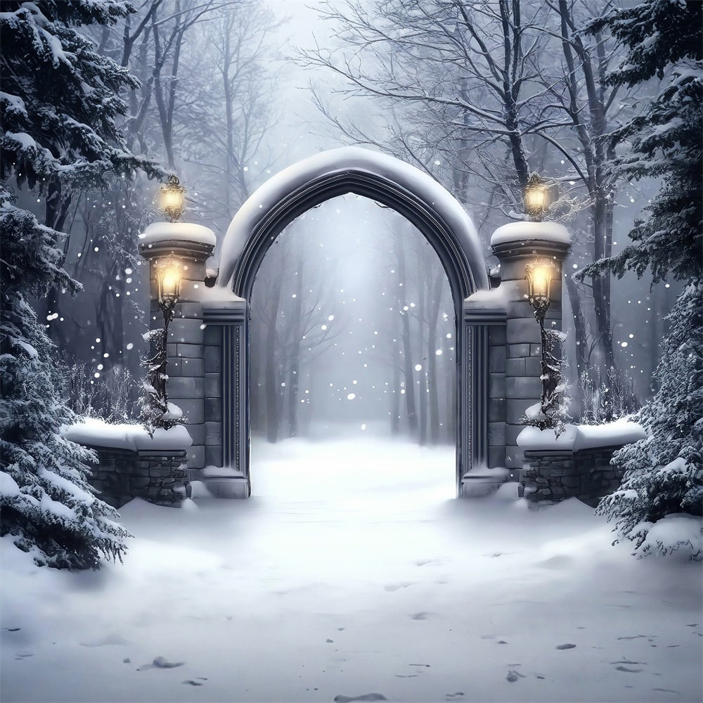 Winter Snow Backdrop Gothic Snow Gate Backdrop UK MRR7-152