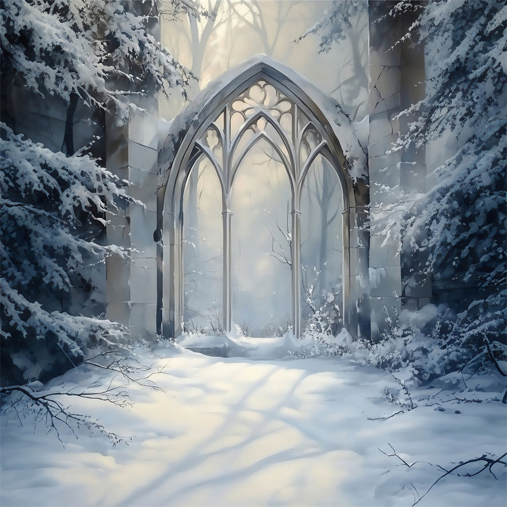 Winter Photo Backdrop Frosted Gothic Arch Backdrop UK MRR7-179