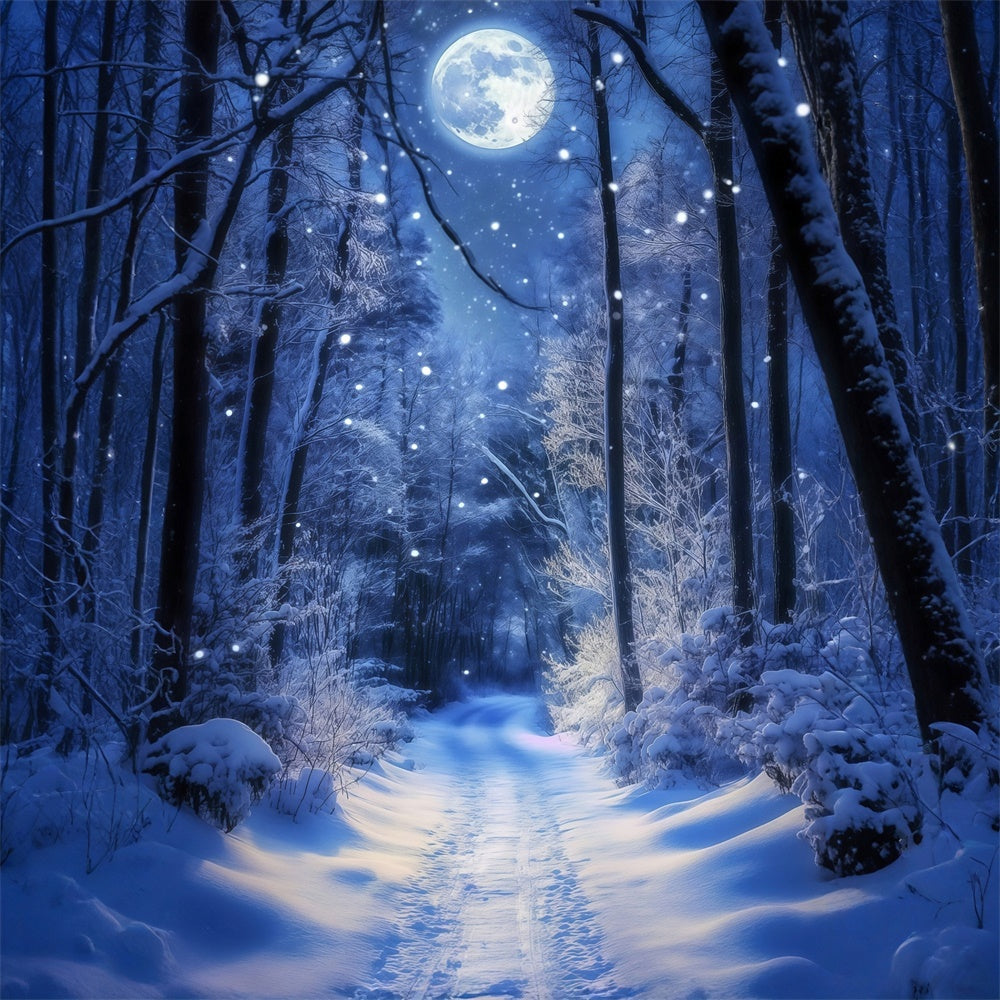 Winter Forest Backdrop Glowing Moon Trail Backdrop UK MRR7-180