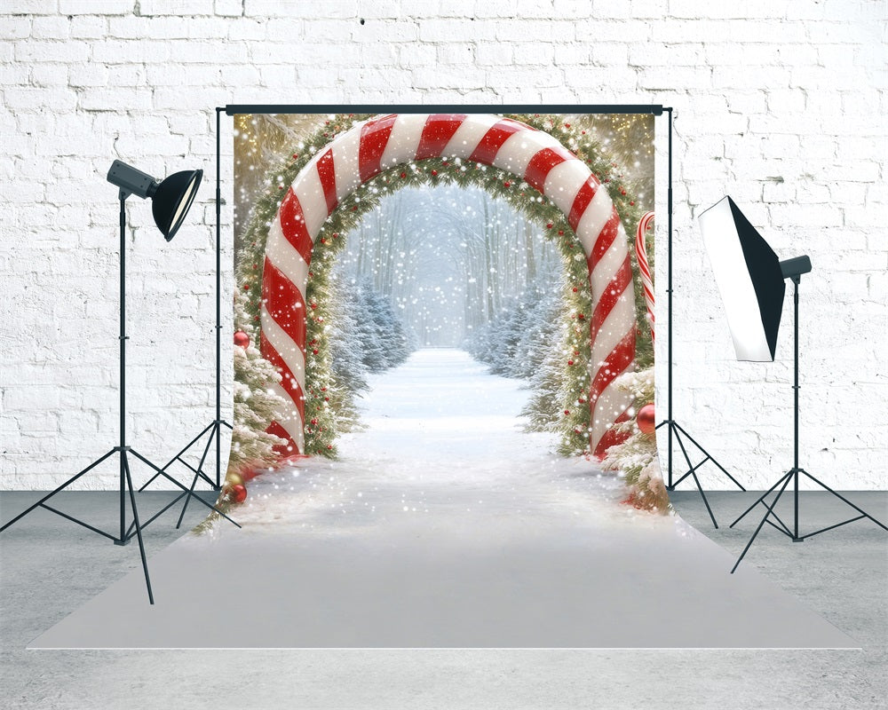 Holiday Backdrop Falling Snow Forest Candy Arch Professional Christmas Backdrops UK MRR8-108