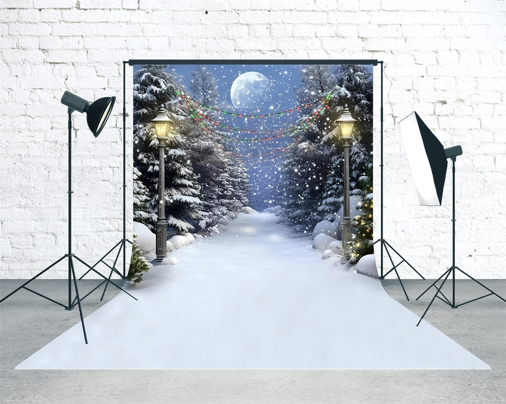 Christmas Tree Farm Backdrop Snowy Night Colored Lights Cedar Trail Christmas Backdrop UK MRR8-116