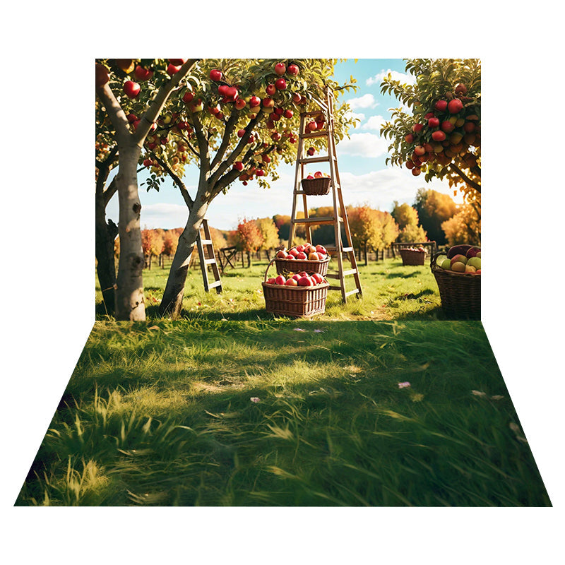Apple Orchard Harvest Backdrop+Sunny Meadow Grass Floor Backdrop UK MRR8-169