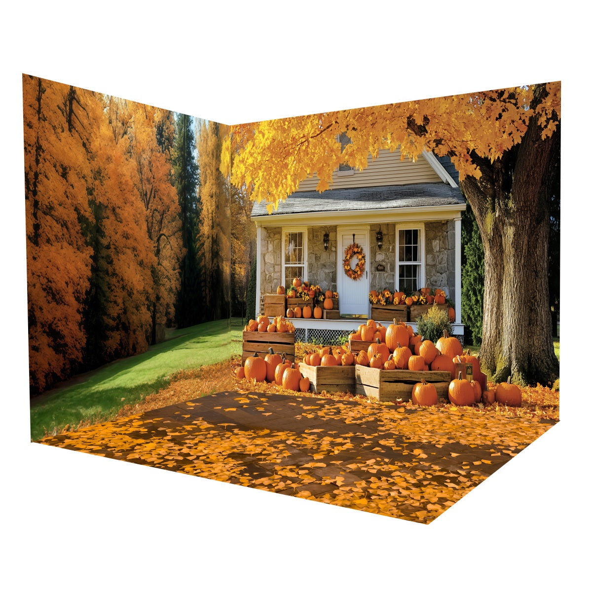 Fall Photo Backdrop Rustic Porch Pumpkin Harvest Backdrop Room Set UK MRR8-222