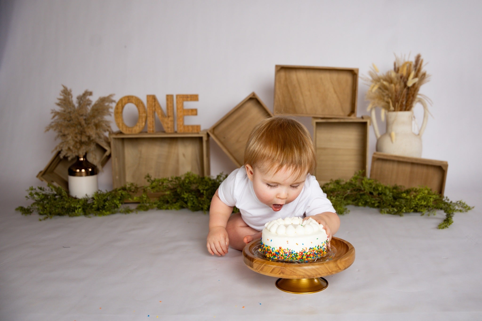 Cake Smash Backdrops Wooden Boxes Pampas Arrangement 1st Birthday Backdrop UK MRR8-269