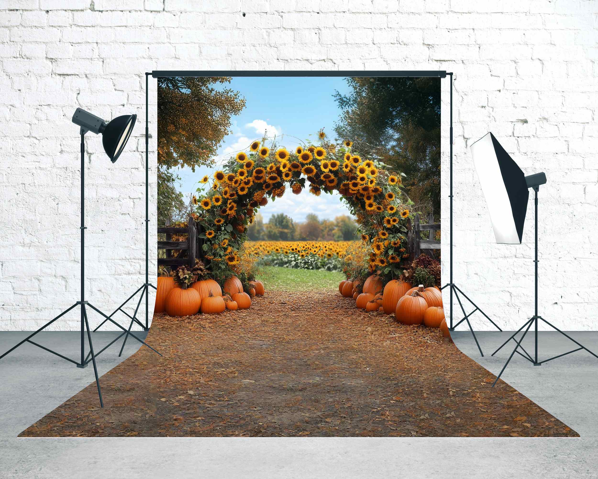 Autumn Backdrop Sunflower Pumpkin Archway Sweep Backdrop UK MRR8-86