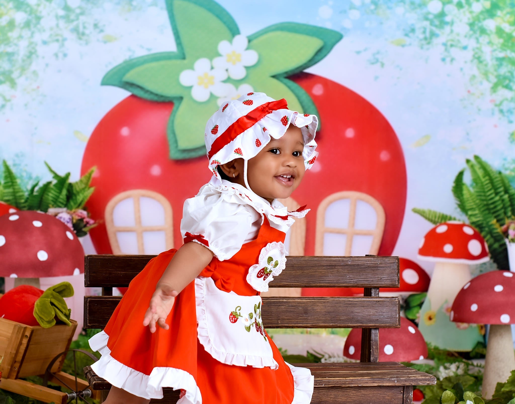 Children Backdrops Strawberry House Fairy Garden newborn Photography Backdrop UK MRR9-12