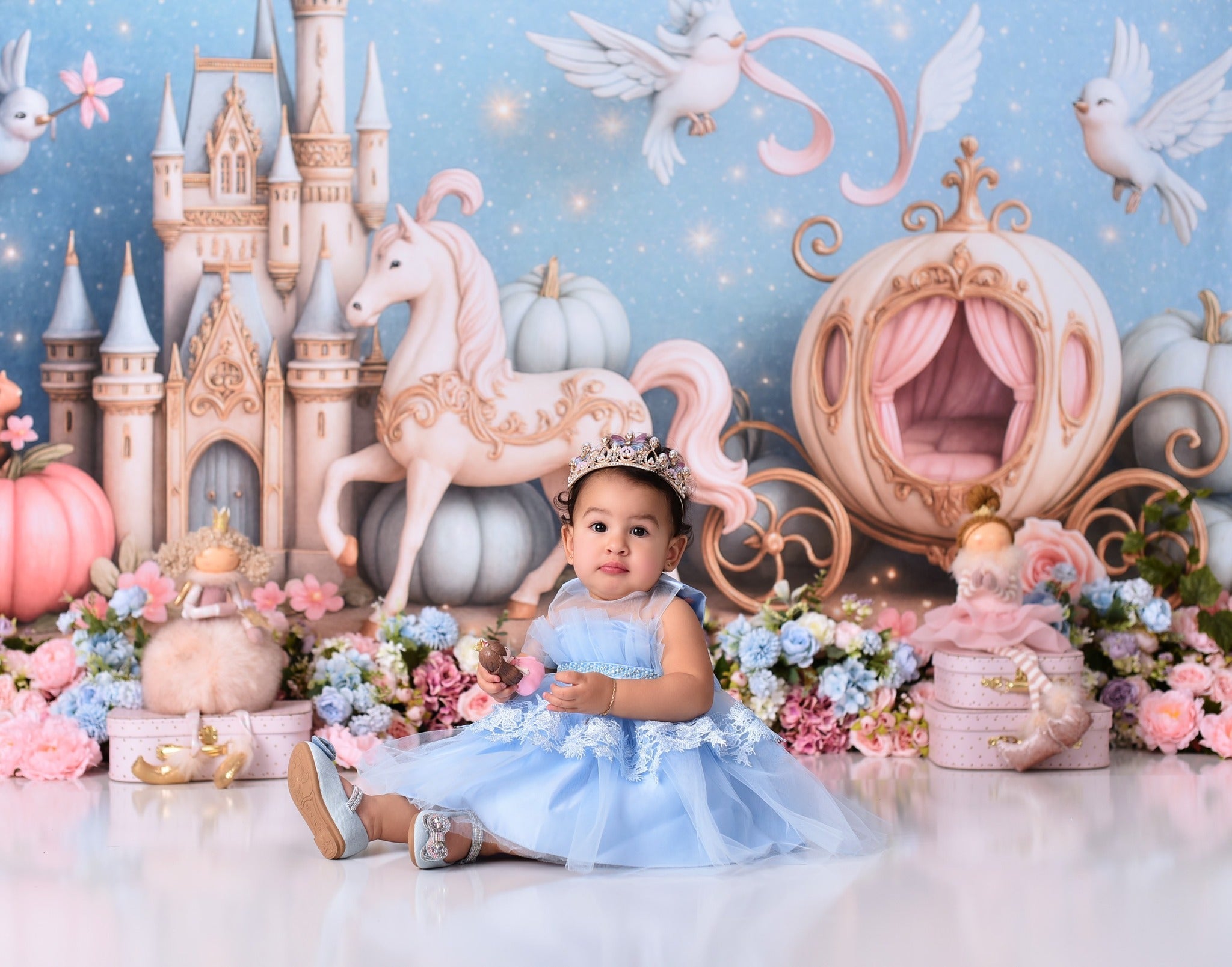 Castle Backdrop Fairy Tale Castle Carriage Newborn Photo Backdrop UK MRR9-16
