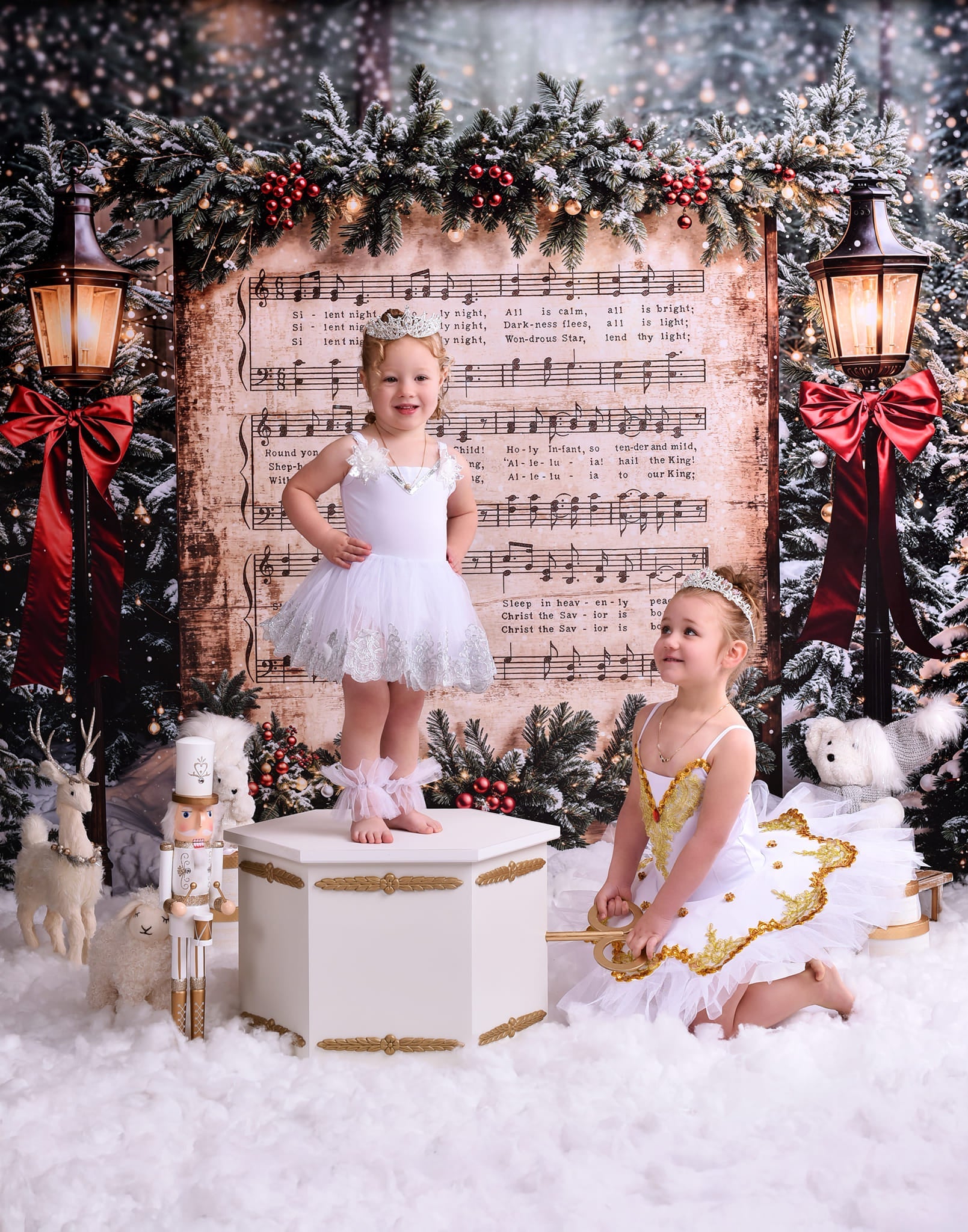 Joy To The World Backdrop Snowy Christmas Carol Music Christmas Backdrop UK MRR9-24