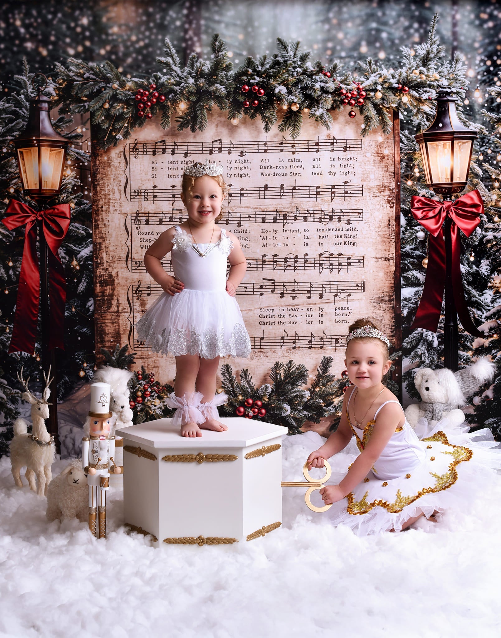 Joy To The World Backdrop Snowy Christmas Carol Music Christmas Backdrop UK MRR9-24