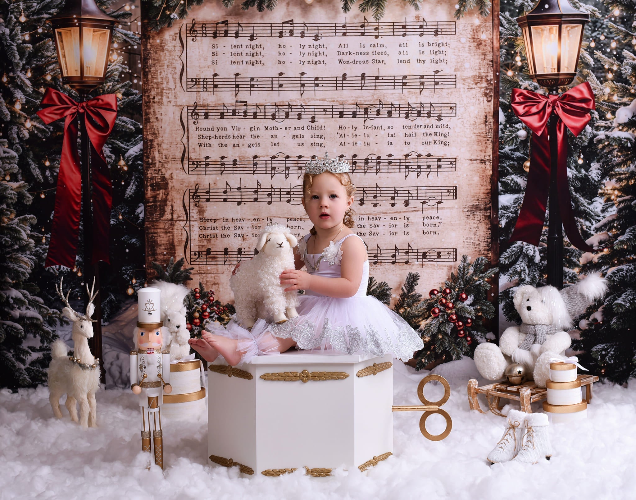 Joy To The World Backdrop Snowy Christmas Carol Music Christmas Backdrop UK MRR9-24