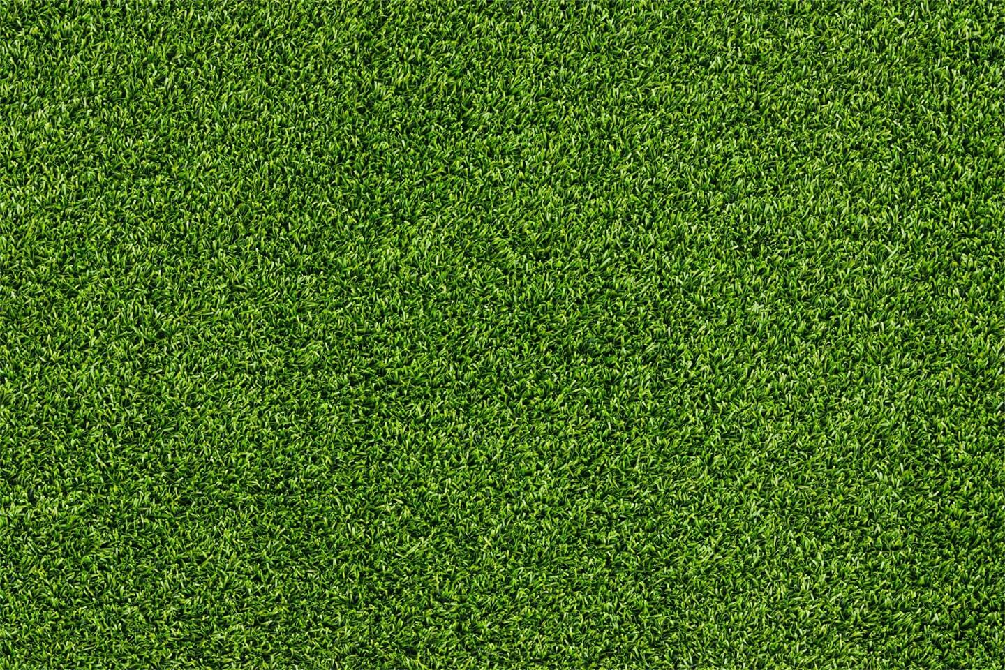 Spring Green Grass Rubber Floor Mat for Photography RM12-53