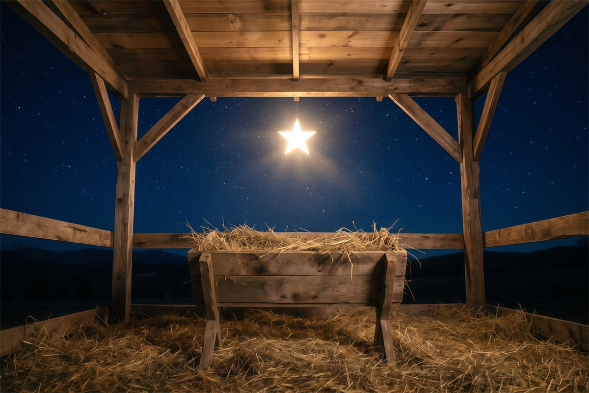 Nativity Scene Backdrop Starry Night Manger Stable Manger Scene Backdrop UK RR610-111