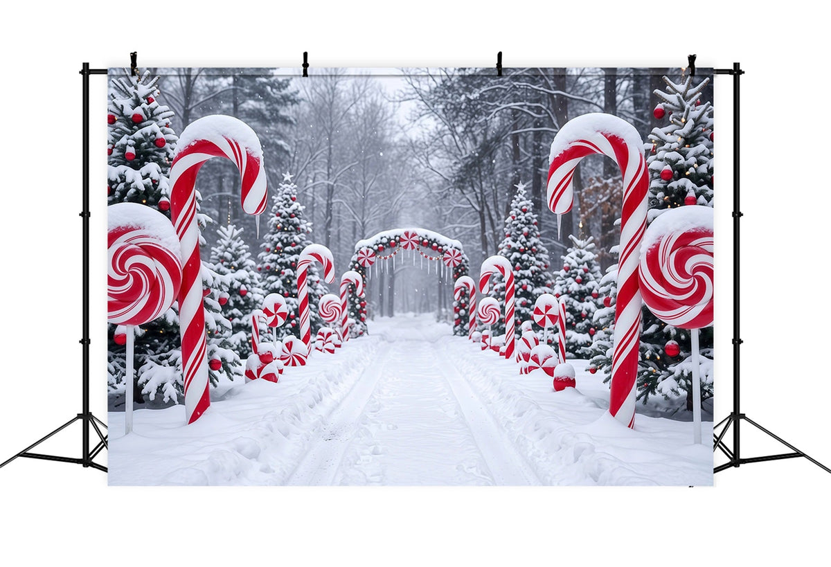 Christmas Candy Cane Backdrop Snowy Forest Pathway Christmas Backdrops for Stage UK RR610-126