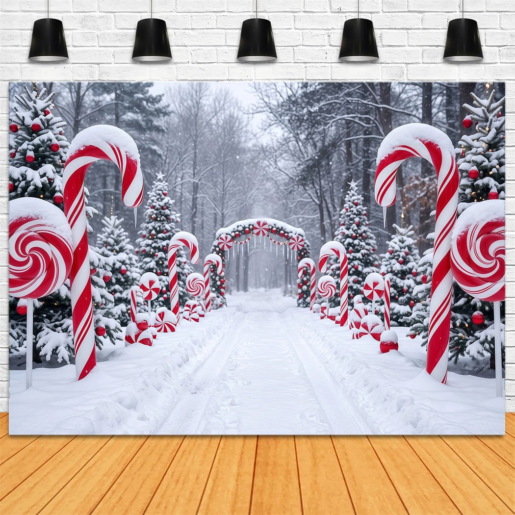 Christmas Candy Cane Backdrop Snowy Forest Pathway Christmas Backdrops for Stage UK RR610-126