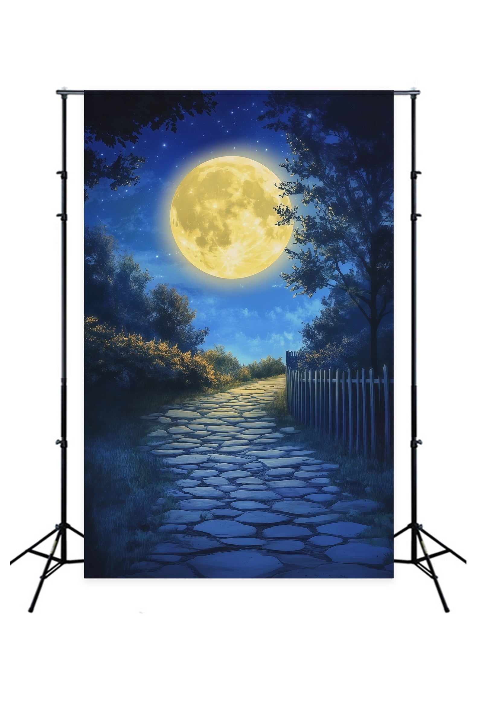 Halloween Moon Backdrop Moonlit Forest Cobblestone Path Halloween Photo Backdrops UK RR67-157