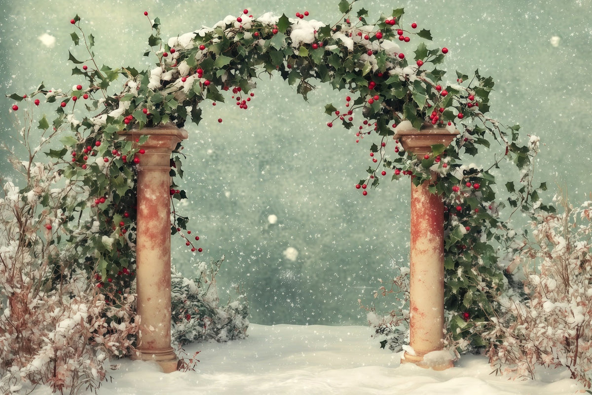 Snowy Christmas Backdrop Winter Snow Holly Archway Backdrop Christmas UK RR68-65